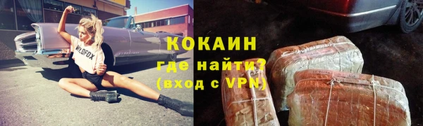 дмт Абаза
