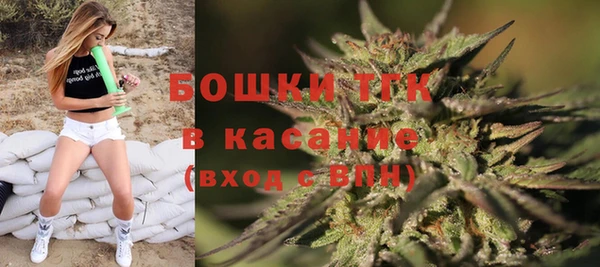 твердый Алексеевка