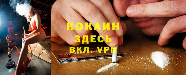 ПСИЛОЦИБИНОВЫЕ ГРИБЫ Алзамай