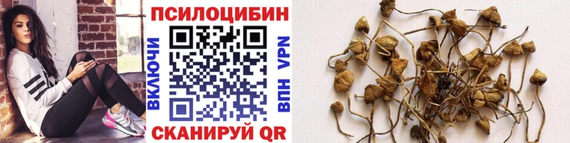 Псилоцибиновые грибы мухоморы  где найти   Лодейное Поле 